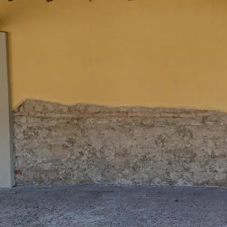 Il Loto Vailate
